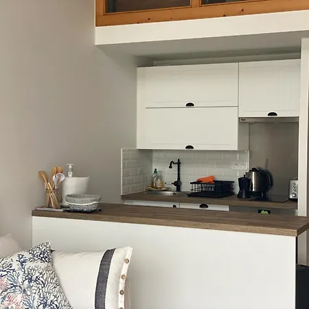 Appartamento Renove Avec Balcon Et Parking Prive A - Fr-1-336-143