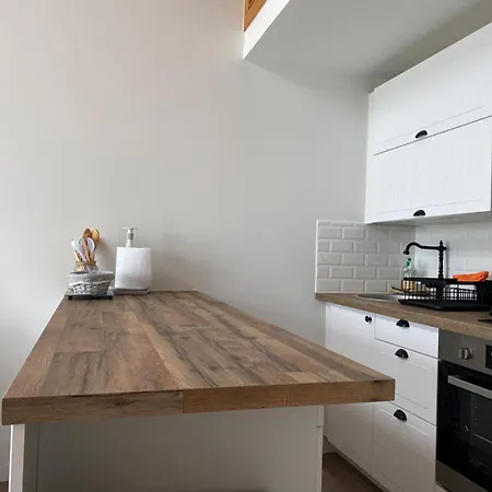 Renove Avec Balcon Et Parking Prive A - Fr-1-336-143 Appartamento